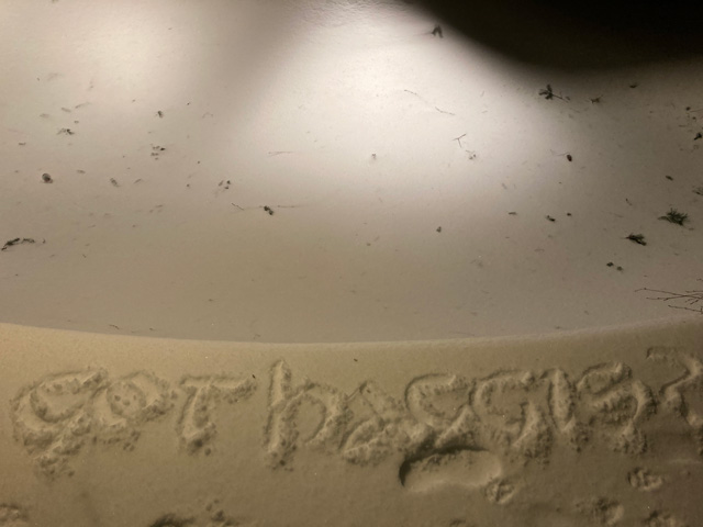 GOT HAGGIS? lettered in uncials using a trowel in snow