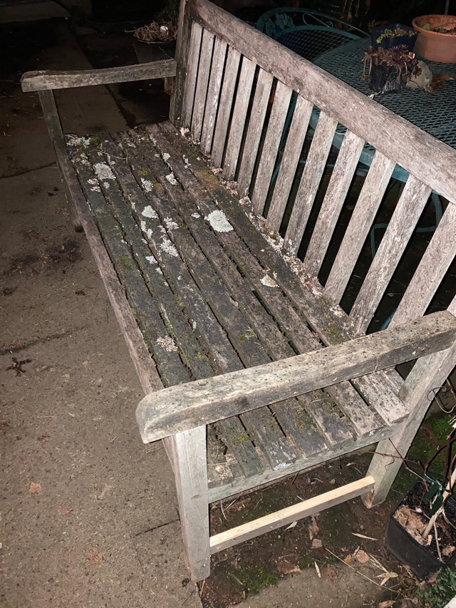 bench