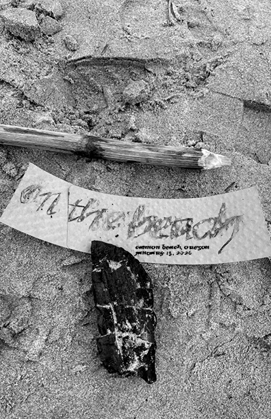 Beach Trip into the void