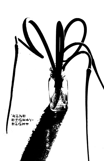 weekly zine088