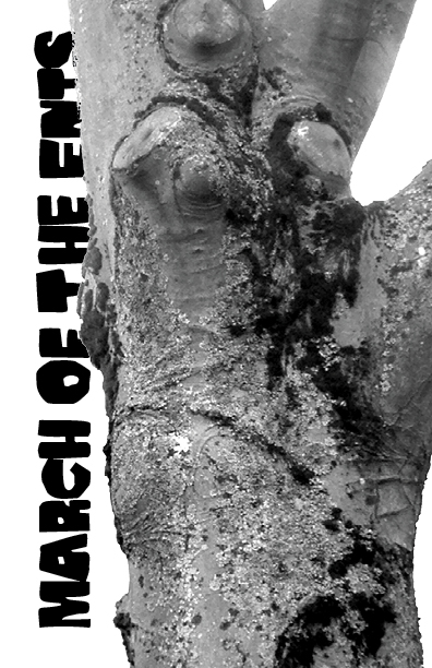 weekly zine 108